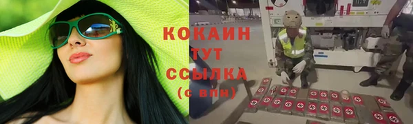 прущие крисы Алзамай