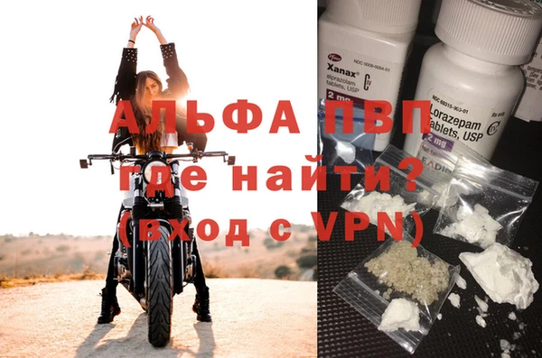 стаф Алексин