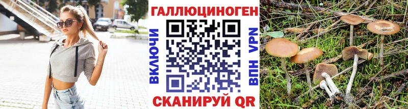 закладка  Сунжа  Псилоцибиновые грибы GOLDEN TEACHER 