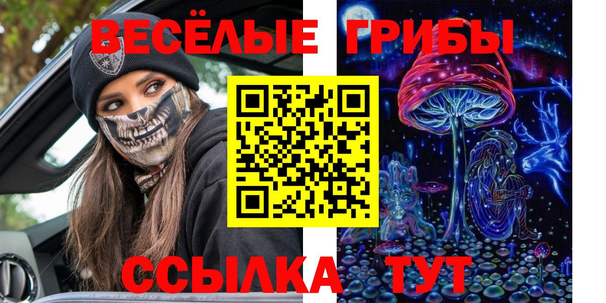 Галлюциногенные грибы MAGIC MUSHROOMS  Вход с VPN  цена наркотик  Псилоцибиновые грибы прущие грибы  Сунжа 