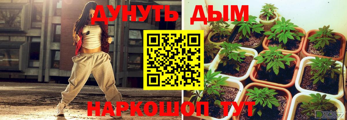 Канабис Ganja Сунжа
